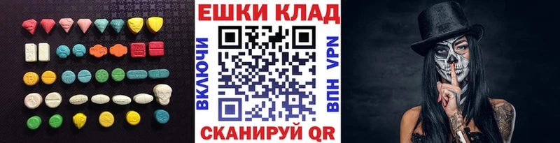 купить  цена  Судак  Ecstasy ешки 