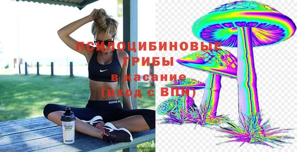ешки Балахна