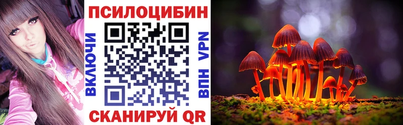 где можно купить наркотик  Судак  Галлюциногенные грибы Magic Shrooms 